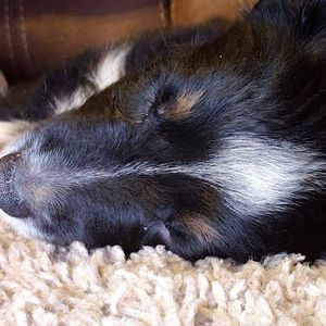 Meet your Posher, Eugene